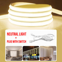 Neutral Light